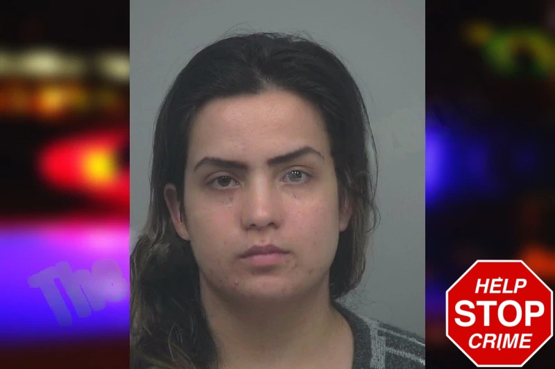 Bibi Habib mugshot – Gwinnett County , Georgia Bibi Habib mugshot