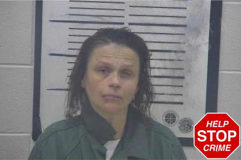 Billie Hulett Mugshots