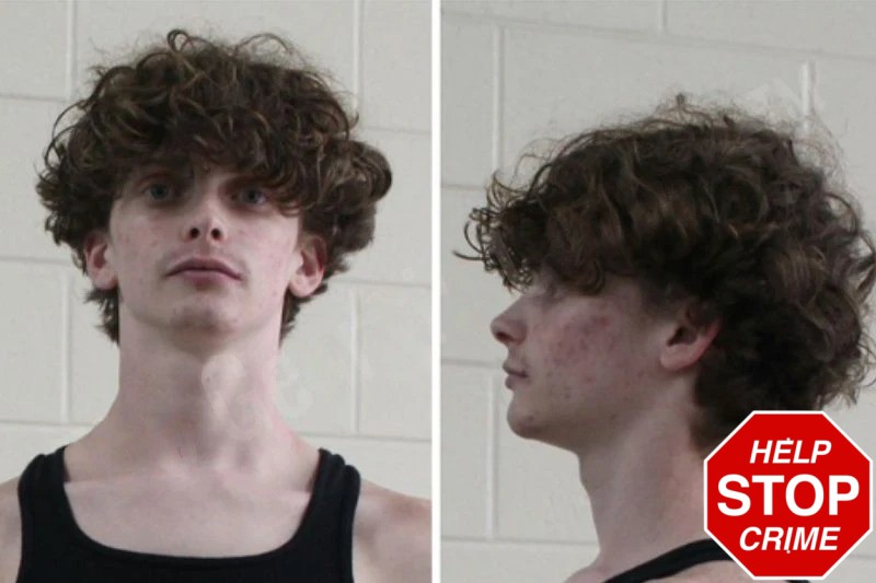 Blake Sostarich mugshot