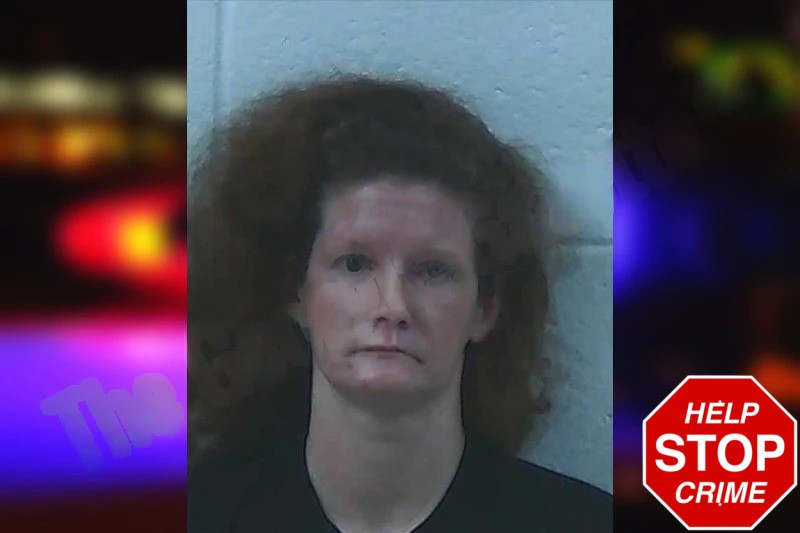 Bonna McElhannon Mugshots