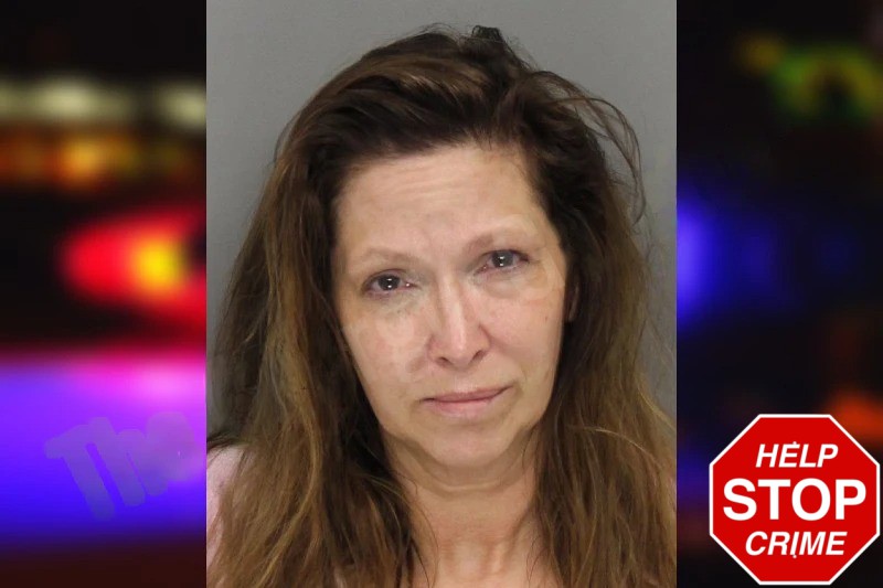 Bonnie Damon mugshot – Cobb County , Georgia Bonnie Damon mugshot