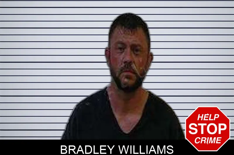 Bradley Williams Mugshots
