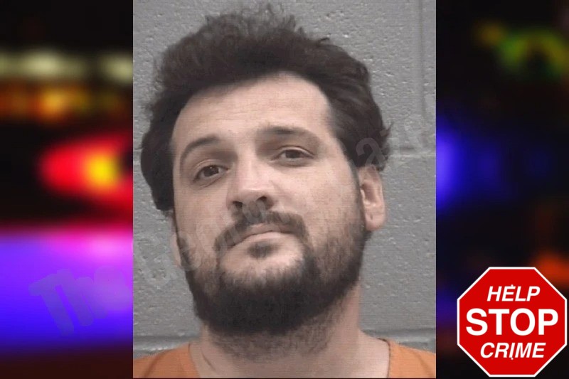 Brady Hollander Mugshots