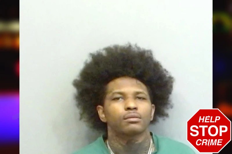 Braelin Jackson Mugshots