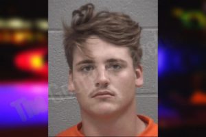 Braelyn Stephens mugshot