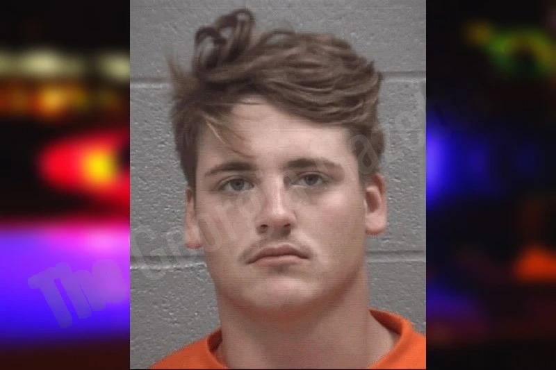 Braelyn Stephens Mugshots