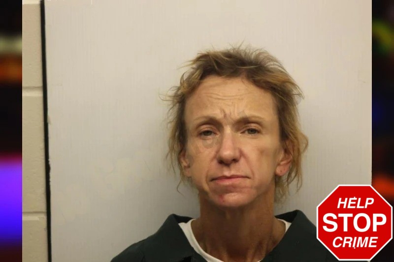 Brandi Courson Mugshots