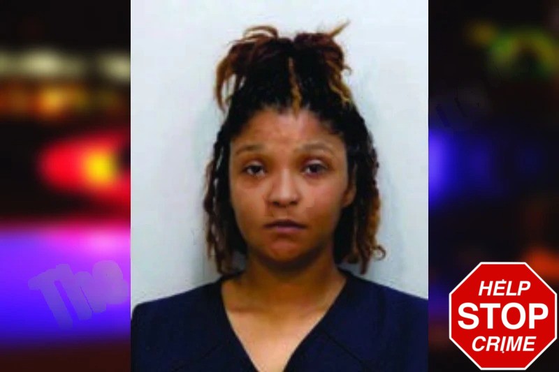 Brandi Dorsey Mugshots