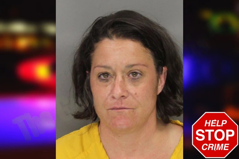 Brandi Langley mugshot