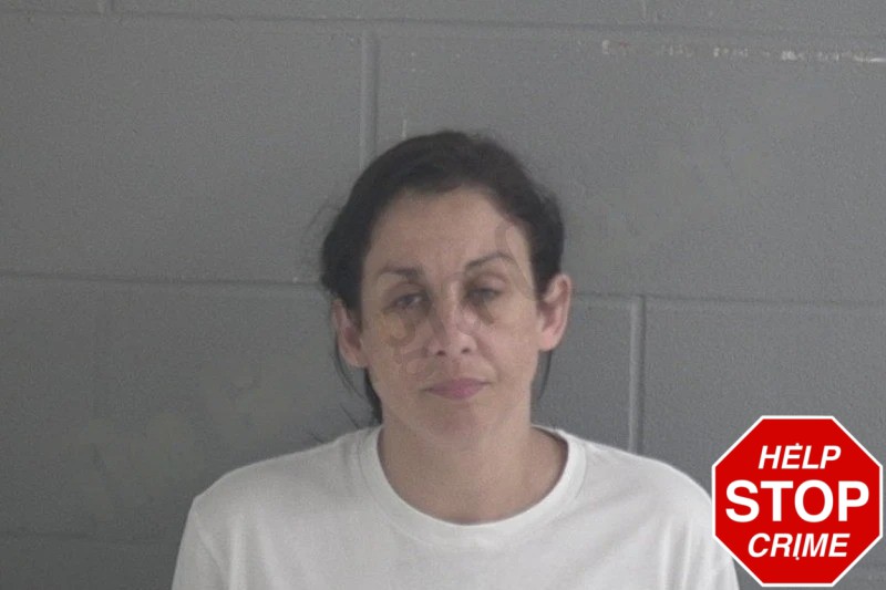 Brandi Long Mugshots