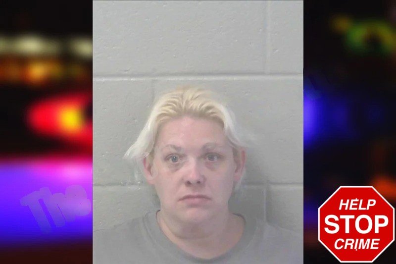 Brandi Moore Mugshots