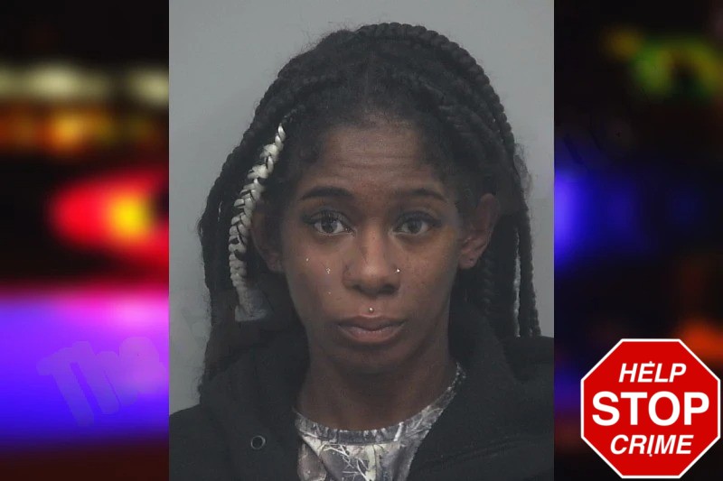 Brandi Roberson Mugshots