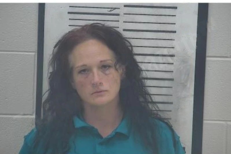 Brandi Smith Mugshots