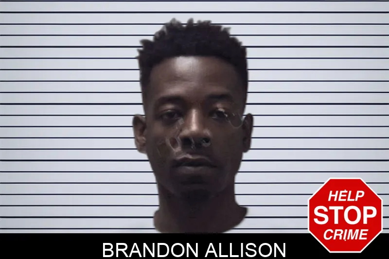 Brandon Allison Mugshots