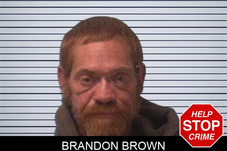 Brandon Brown mugshot – Franklin County , Georgia Brandon Brown
