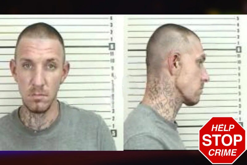 Brandon Gibson Mugshots