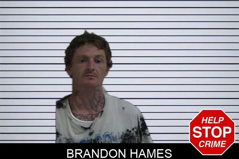 Brandon Hames Mugshots