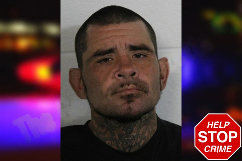 Brandon Lemos mugshot