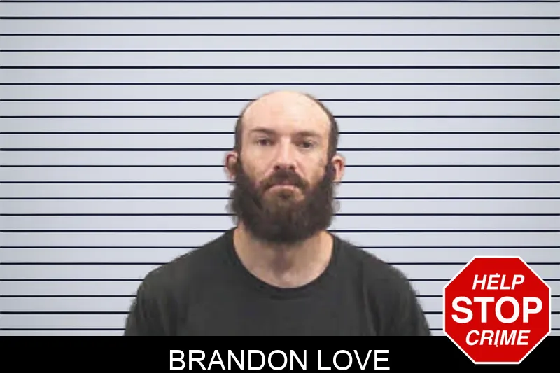 Brandon Love Mugshots