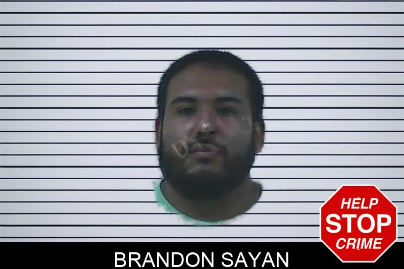 Brandon Sayan Mugshots