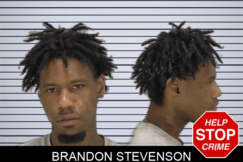 Brandon Stevenson Mugshots