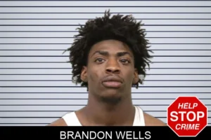 Brandon Wells mugshot