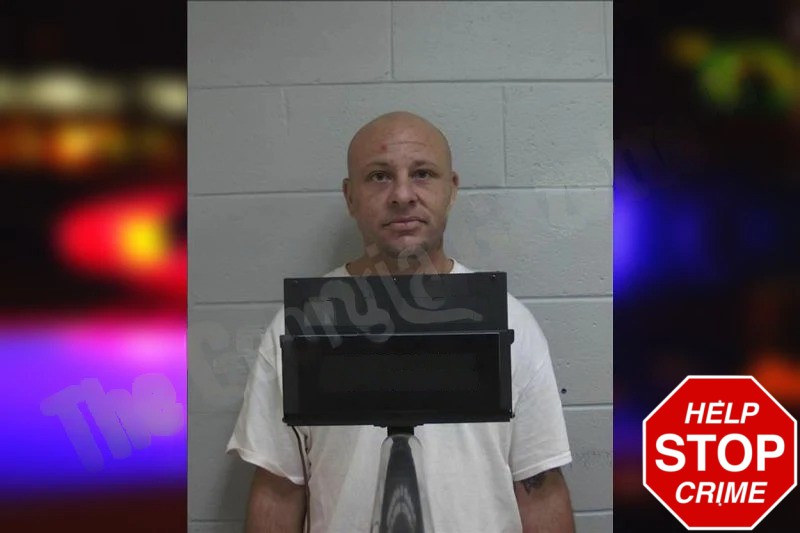 Brandon Williams Mugshots