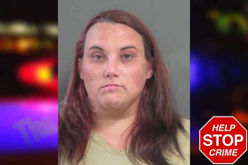 Brandy Bryant mugshot