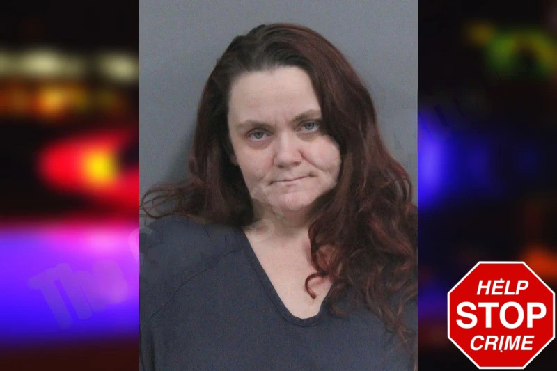 Brandy Burnette Mugshots