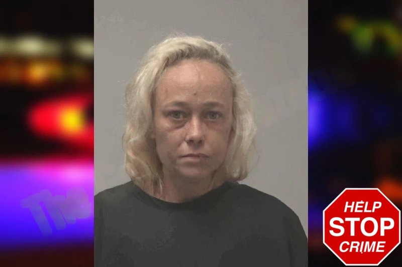 Brandy Jenkins Mugshots