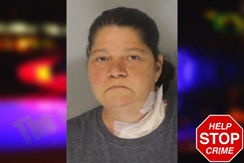 Brandy Loggins Mugshots