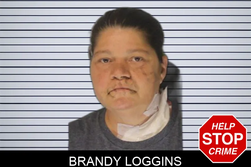 Brandy Loggins Mugshots