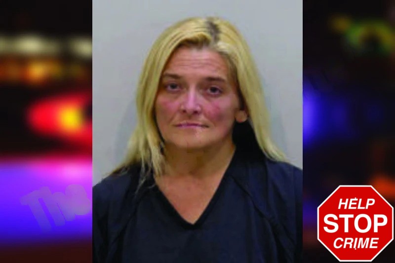 Brandy Morris Mugshots