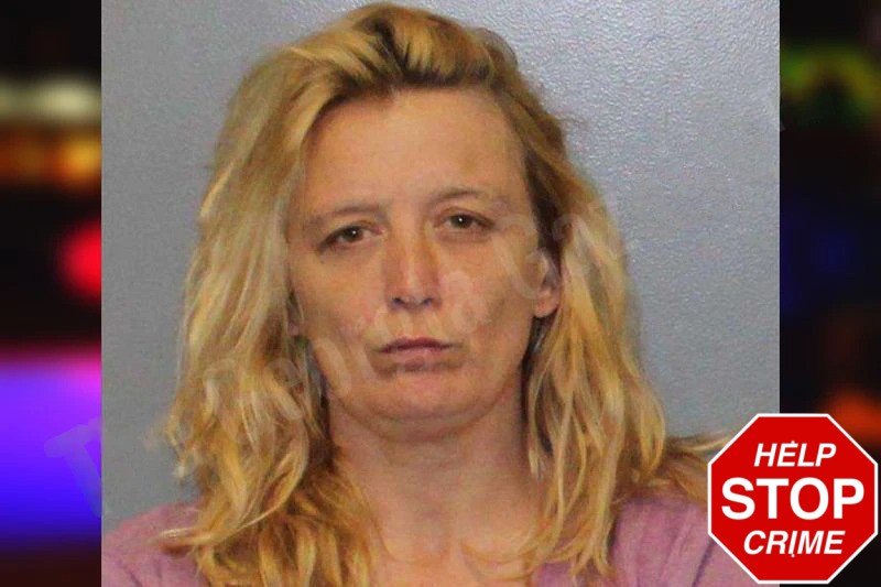 Brandy Rankin mugshot – White County , Georgia Brandy Rankin mugshot