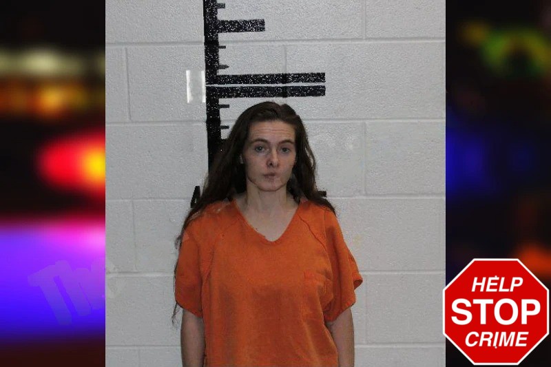 Brandy Redwine Mugshots