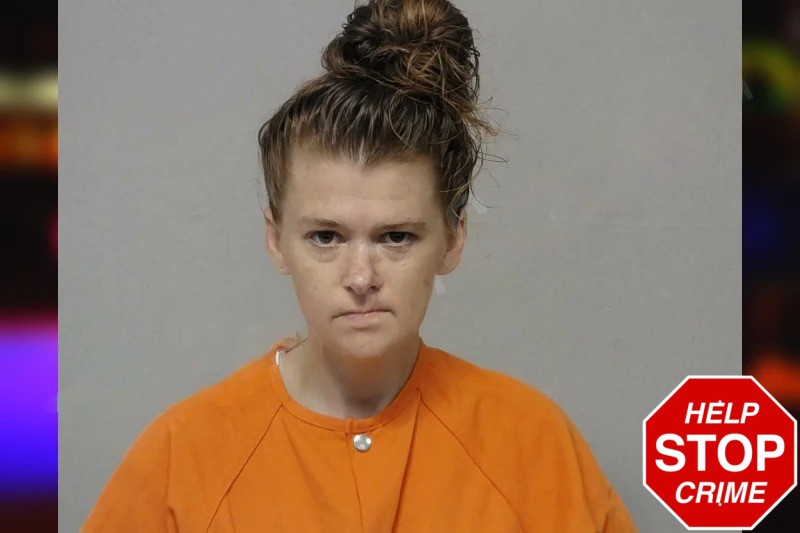 Brandy Riner mugshot