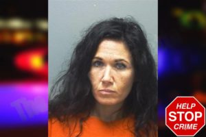 Brandy Toth mugshot