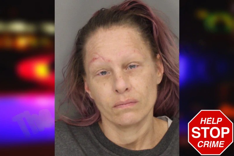 Brandy Wallace Mugshots