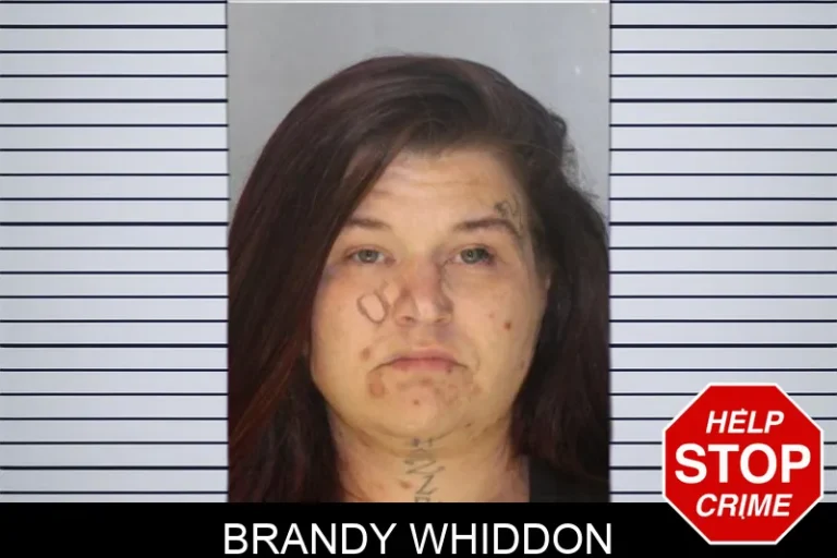 Brandy Whiddon