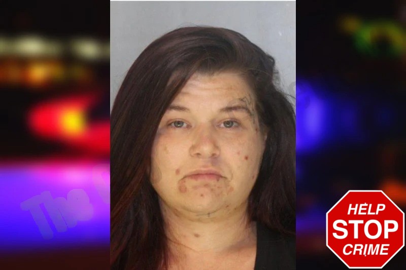 Brandy Whiddon Mugshots