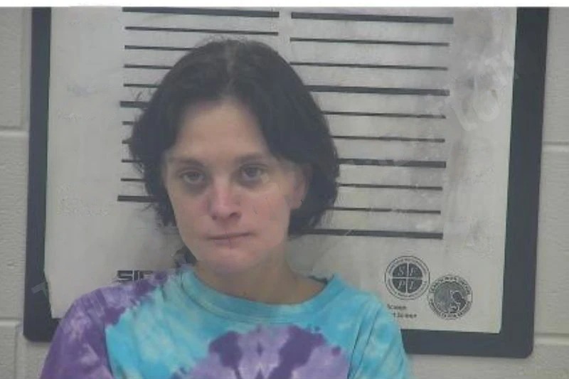 Breanalee Lollie Mugshots