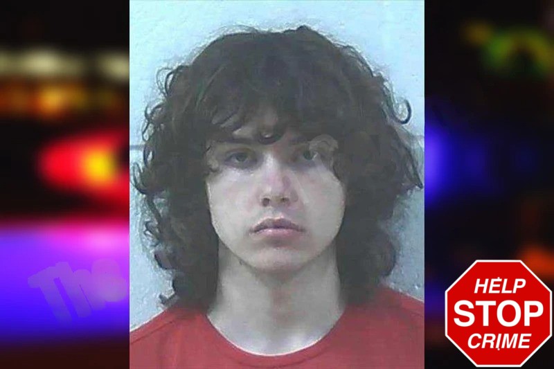 Brecken Royston Mugshots