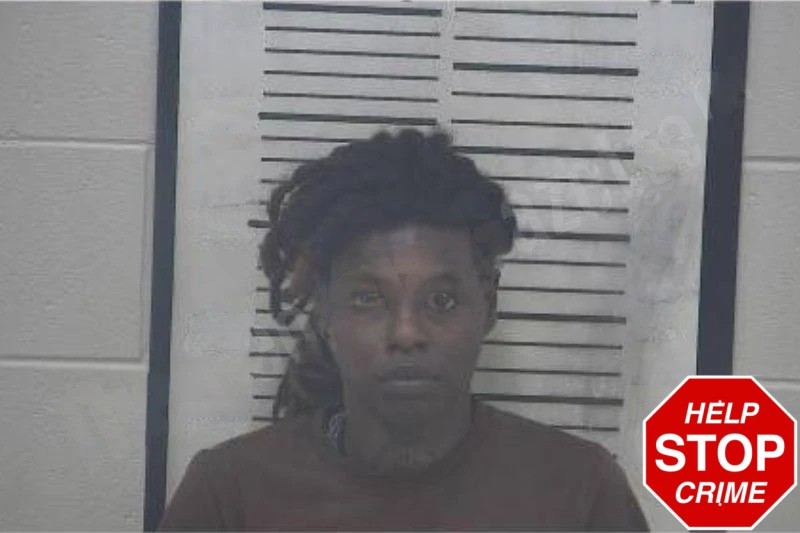 Breeonka Vaughn Mugshots