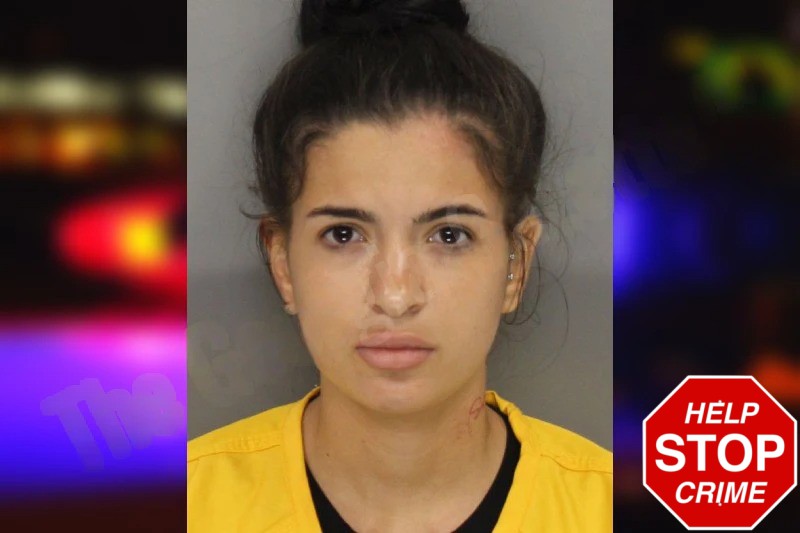 Breeze Whitestewart Mugshots