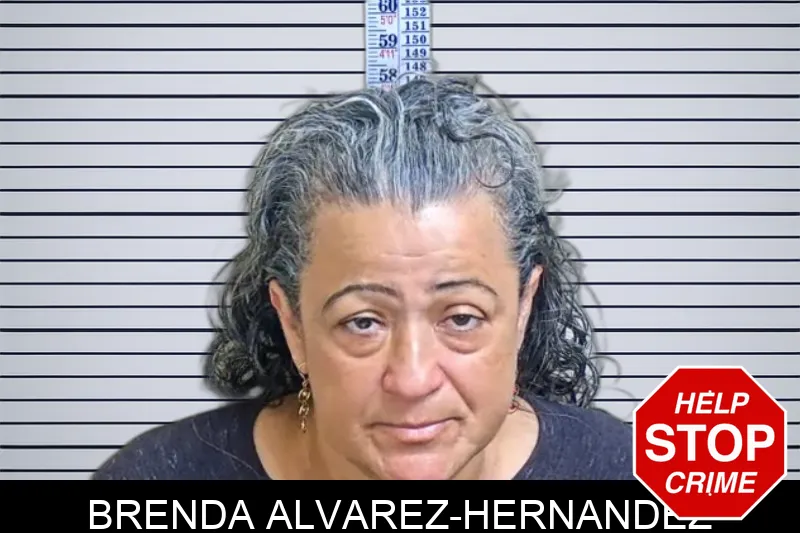 Brenda Alvarez-Hernandez mugshot