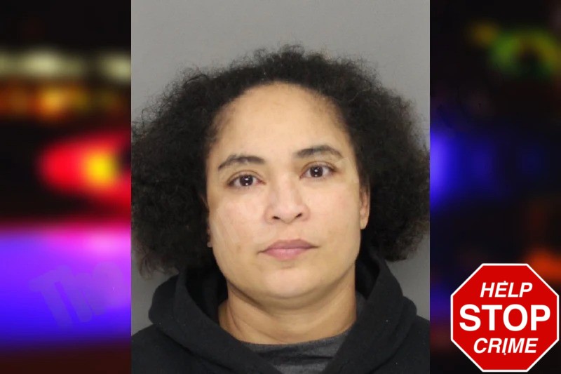 Brenda Mathis mugshot