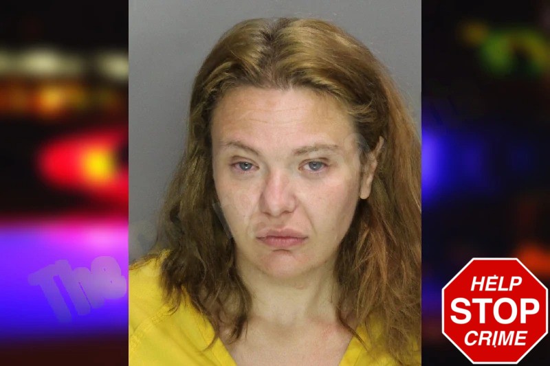 Brenda Nutting Mugshots