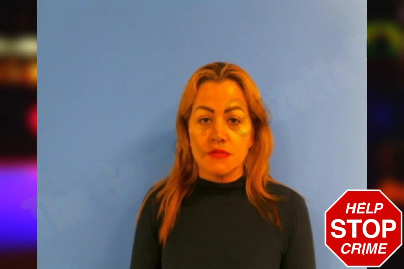 Brenda Ramirez Mugshots