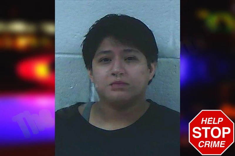 Brenda Ramirez-Vasquez Mugshots