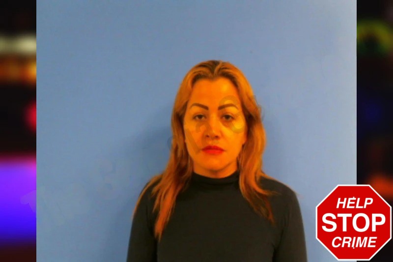 Brenda Ramirez Mugshots